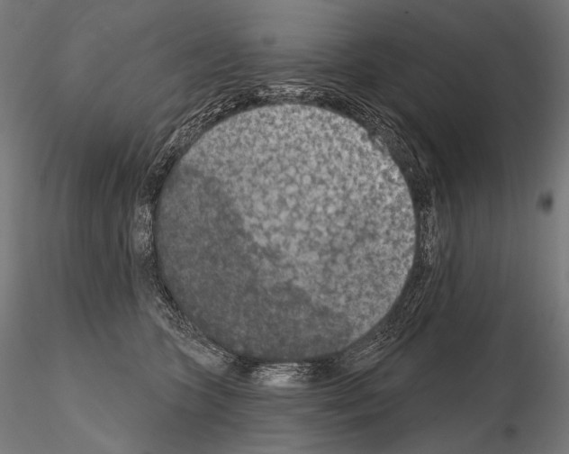 X0000115070563200912081150