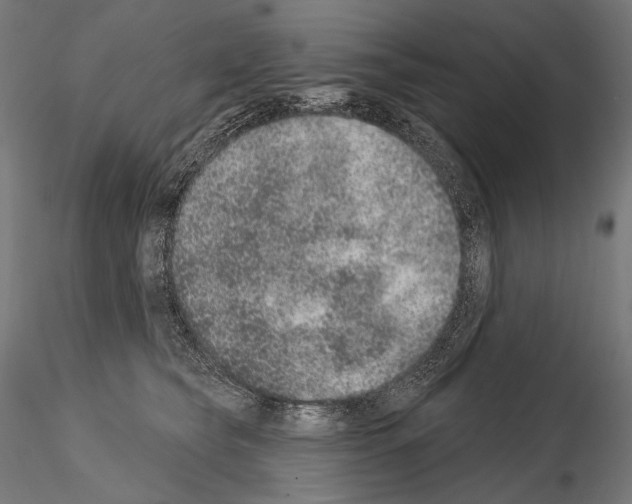 X0000115070565200912081150