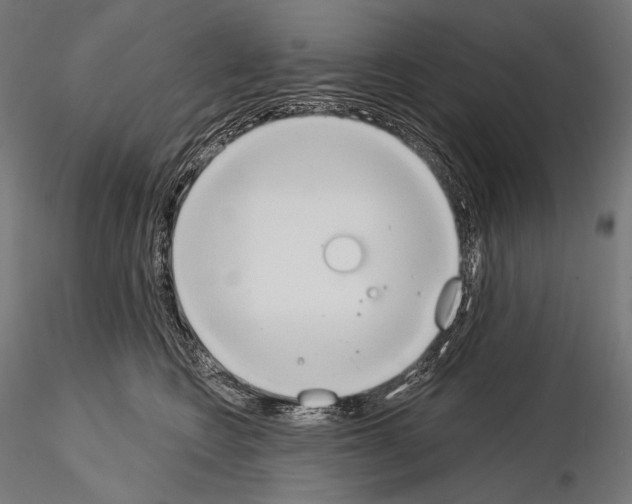 X0000115070566200912081150