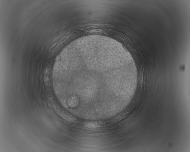 X0000115070567200912081150