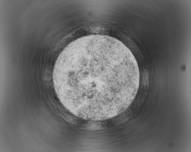 X0000115070569200912081151
