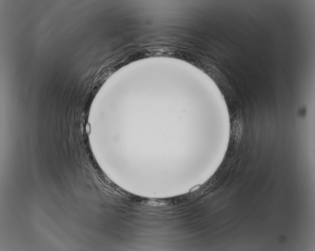 X0000115070570200912081151