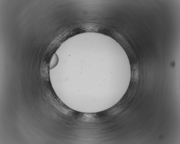 X0000115070573200912081151