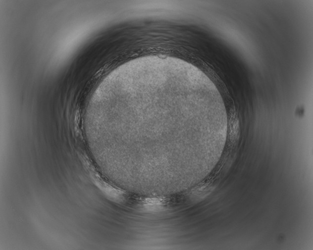 X0000115070574200912081151