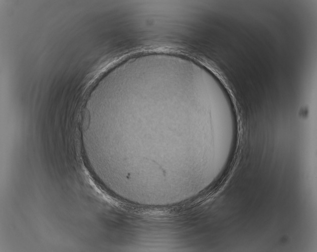 X0000115070577200912081150