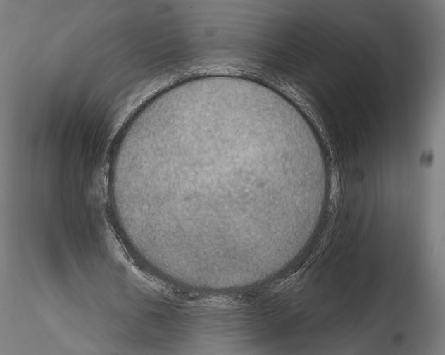 X0000115070578200912081150