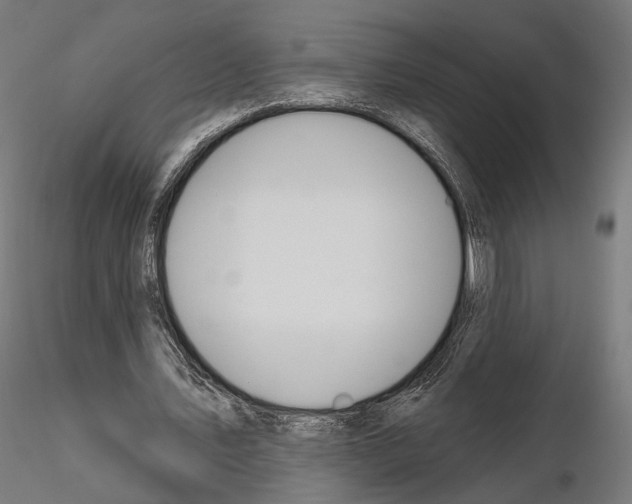 X0000115070579200912081150