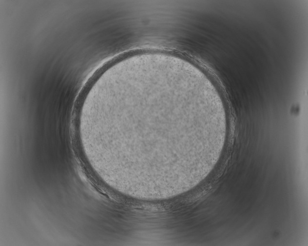X0000115070580200912081150