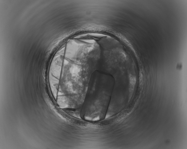 X0000115070581200912081150