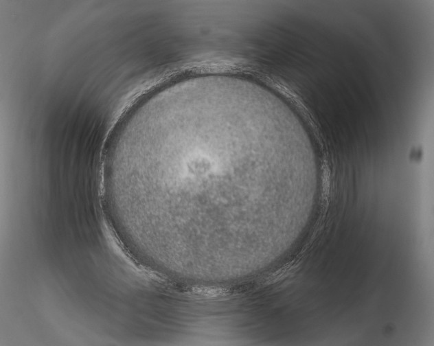 X0000115070582200912081150