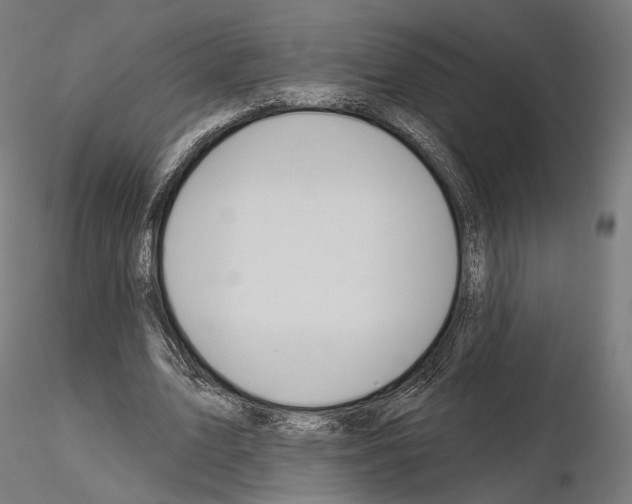 X0000115070583200912081150