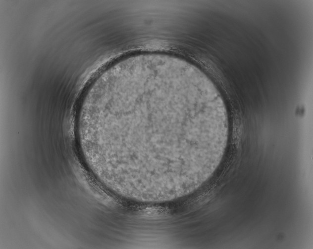 X0000115070584200912081150