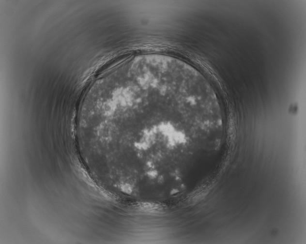 X0000115070585200912081150