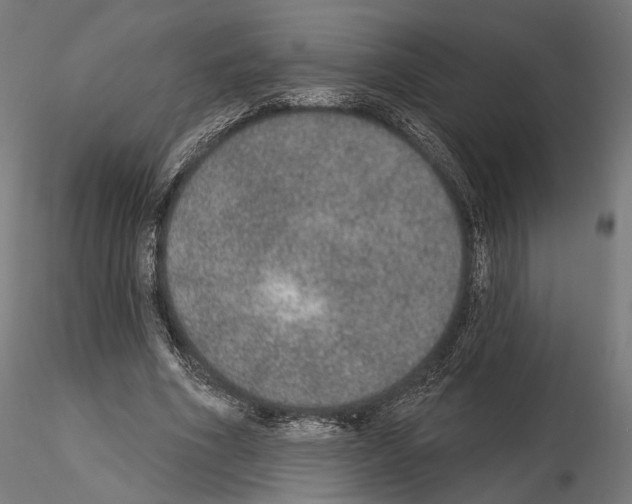 X0000115070586200912081150