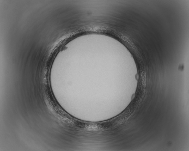 X0000115070587200912081150