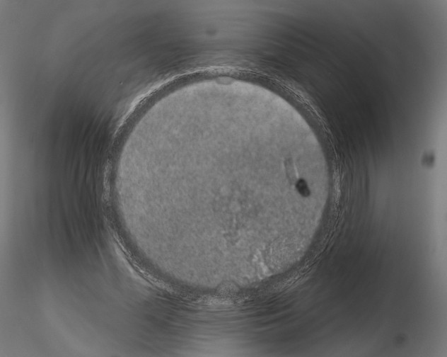 X0000115070588200912081150