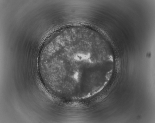 X0000115070589200912081150