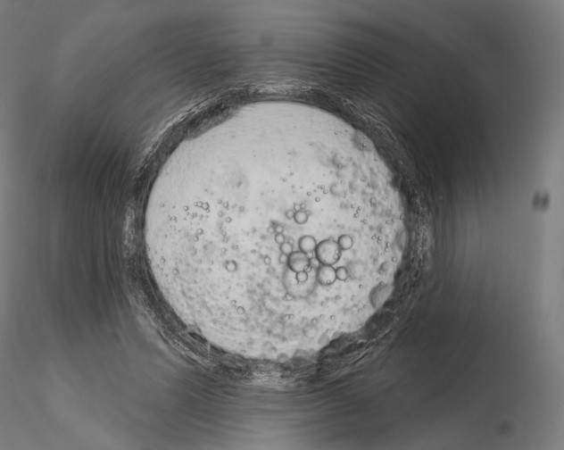 X0000115070591200912081150