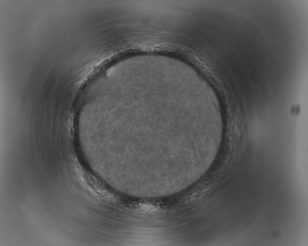 X0000115070592200912081150