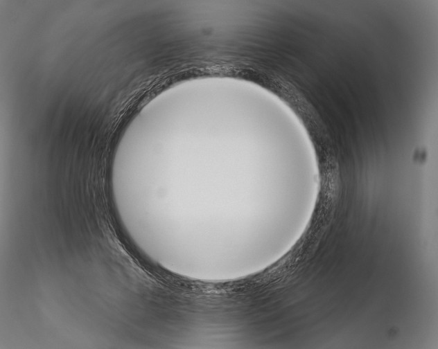 X0000115070593200912081150