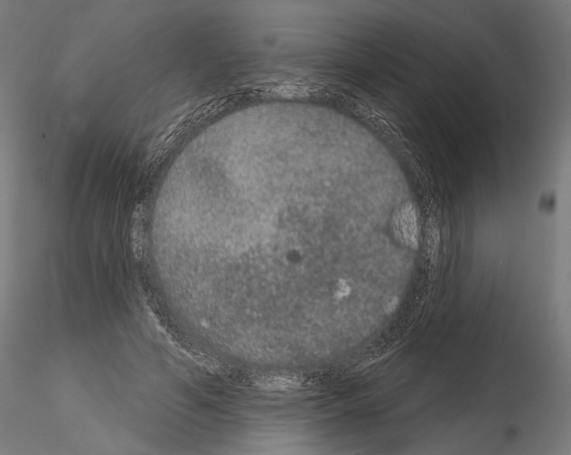 X0000115070594200912081150