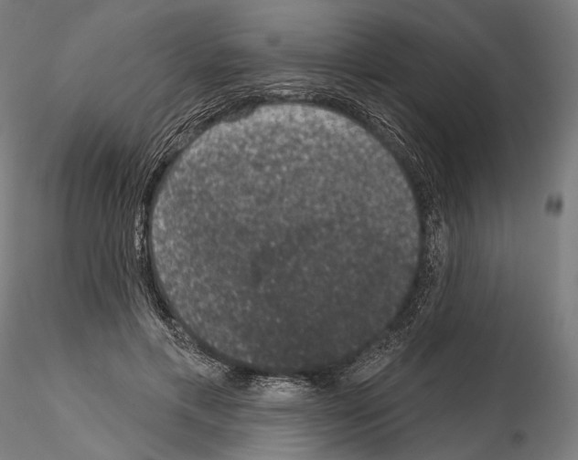 X0000115070597200912081150