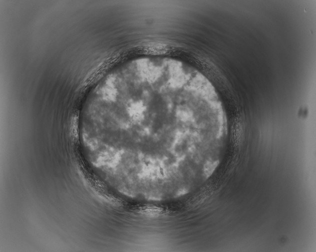X0000115070598200912081150