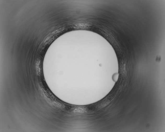 X0000115070599200912081150