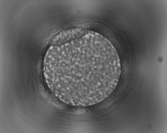 X0000115070600200912081150