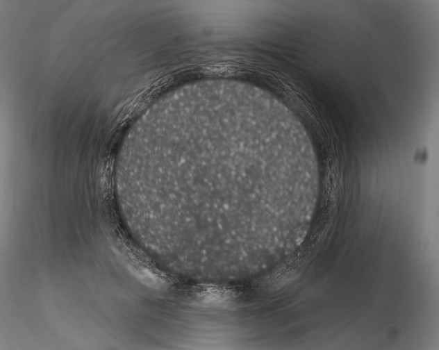 X0000115070601200912081149