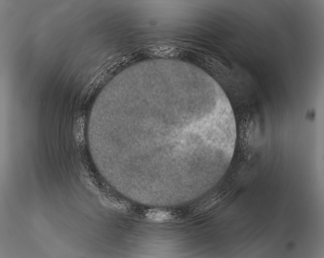 X0000115070602200912081149