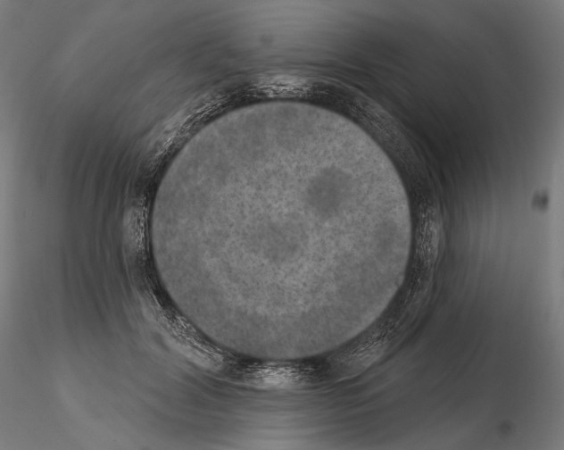 X0000115070604200912081149