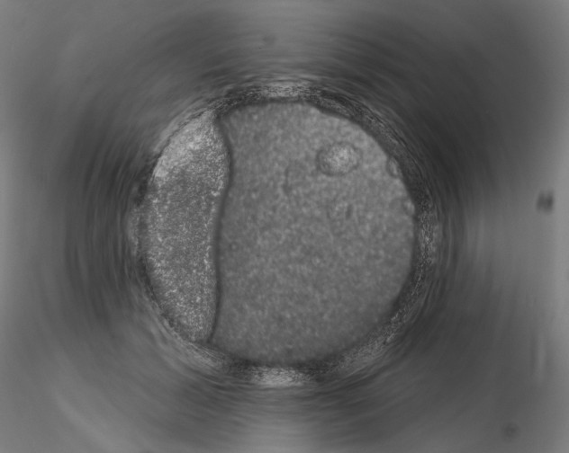 X0000115070605200912081149