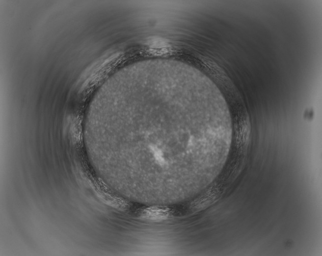 X0000115070606200912081149