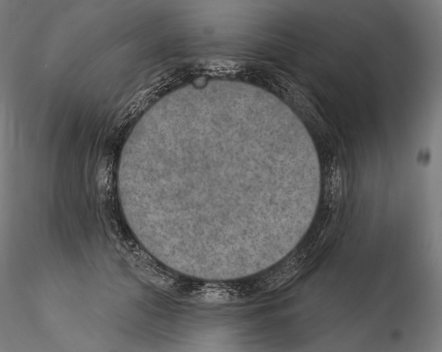 X0000115070608200912081149