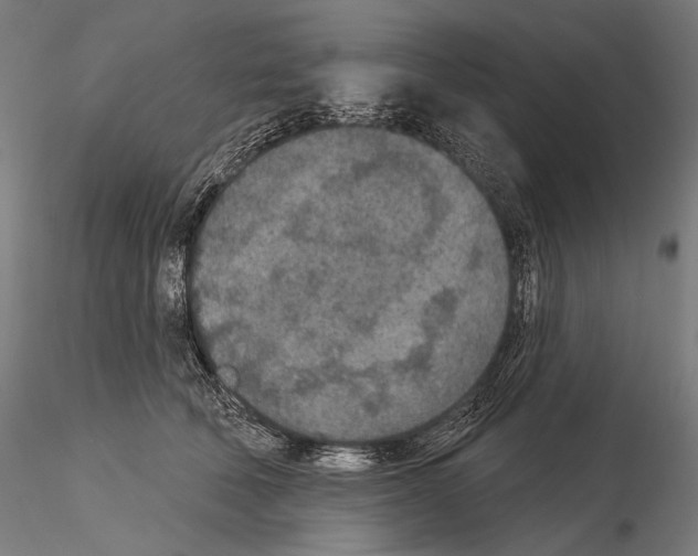 X0000115070610200912081149
