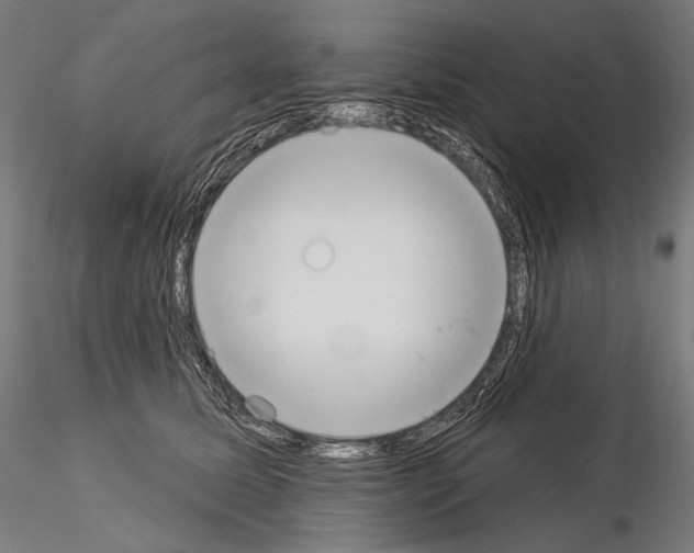 X0000115070611200912081149
