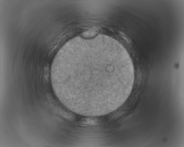 X0000115070612200912081149