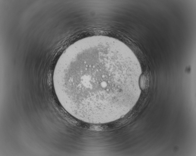 X0000115070613200912081149