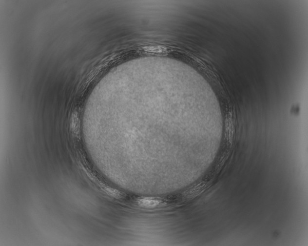 X0000115070614200912081149
