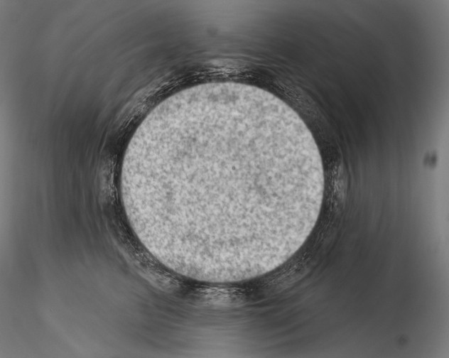 X0000115070615200912081149