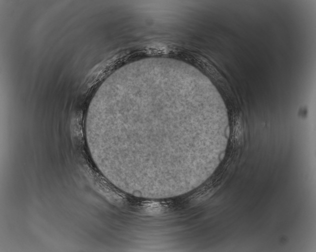 X0000115070616200912081149