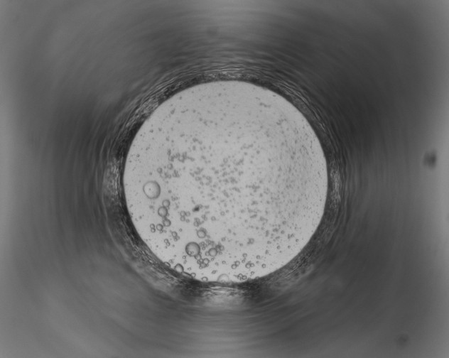 X0000115070617200912081149