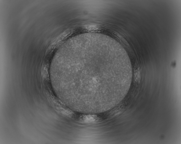X0000115070618200912081149