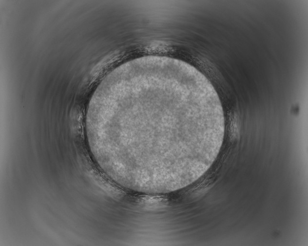 X0000115070619200912081149