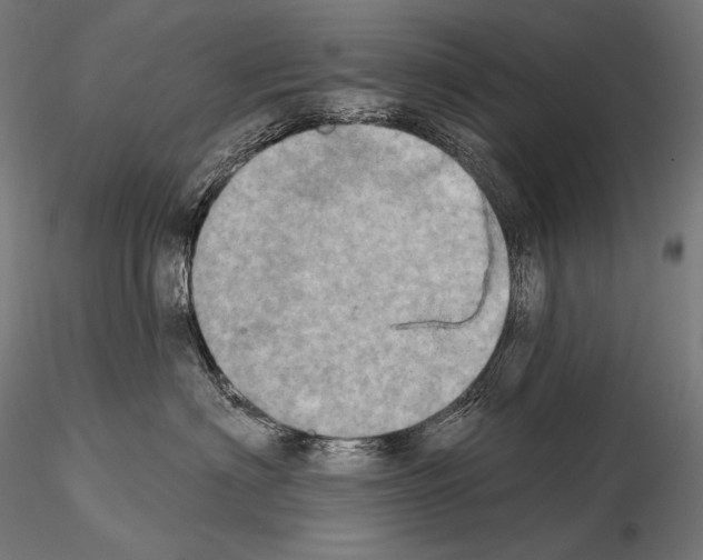 X0000115070622200912081149