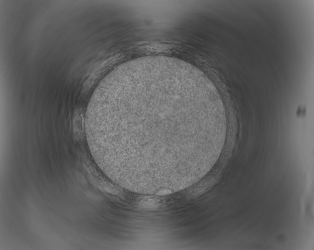 X0000115070624200912081149