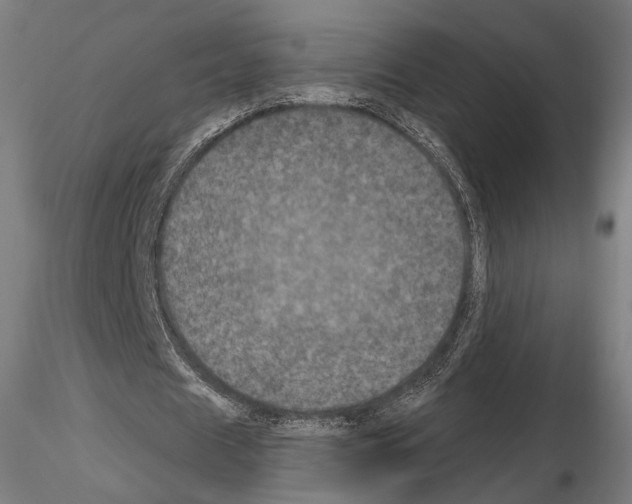 X0000115070625200912081148