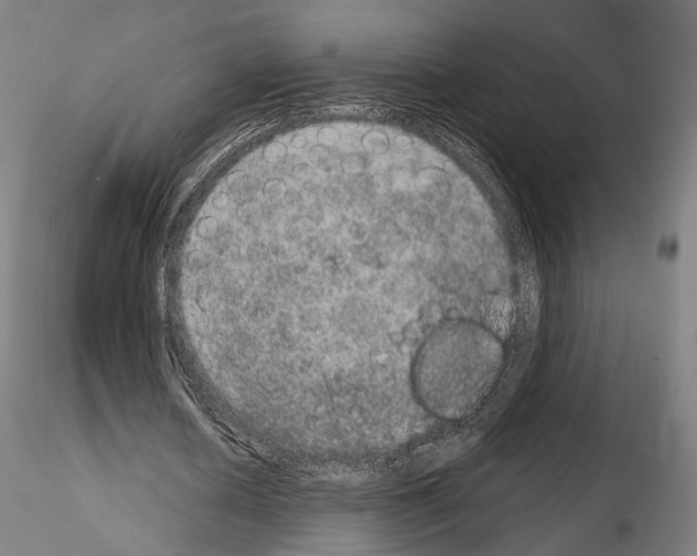 X0000115070626200912081148
