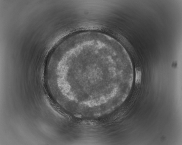 X0000115070627200912081148